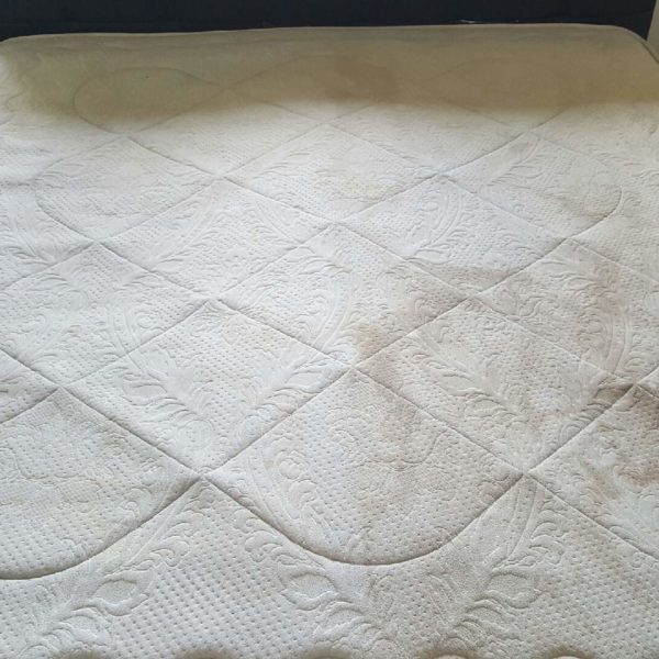 Bedroom mattress cleaning services