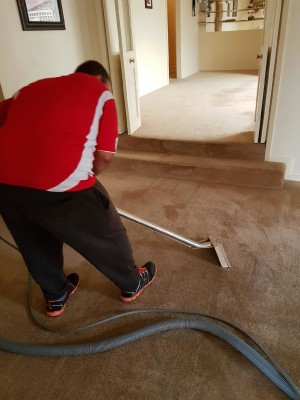 Ballarat carpet cleaning