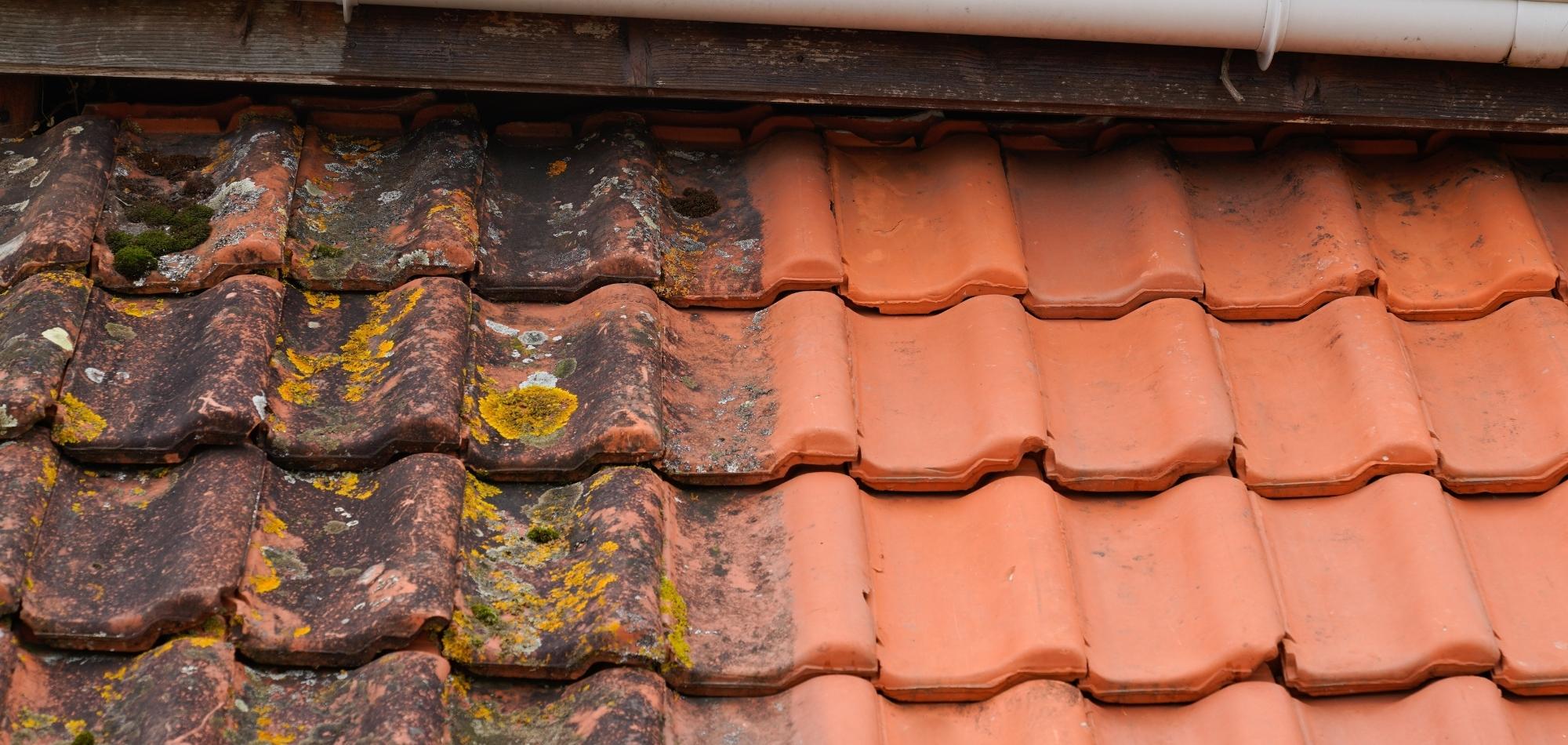 Expert Roof Cleaning Services on the Sunshine Coast 1 AustClean roof cleaning before and after results – dramatic transformation from moss-covered weathered tiles to clean bright roof tiles Australia.