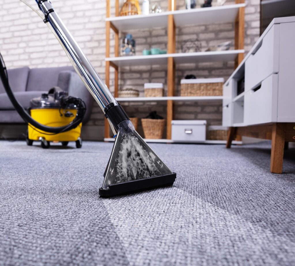 The Ultimate Guide to Apartment & Holiday Letting Cleaning 4 AustClean Mildura professional carpet cleaning before and after results—deep-cleaned carpet for homes and businesses in Mildura, Victoria.