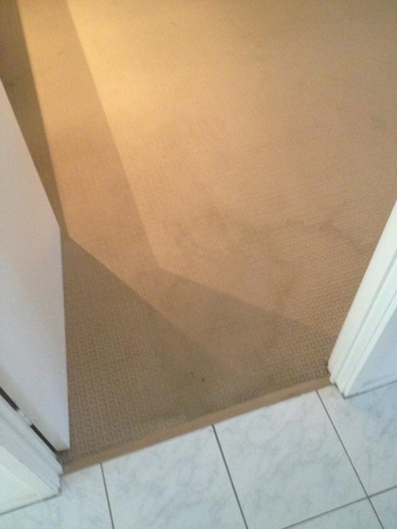 AustClean Mildura professional carpet cleaning before and after results—deep-cleaned carpet for homes and businesses in Mildura, Victoria.