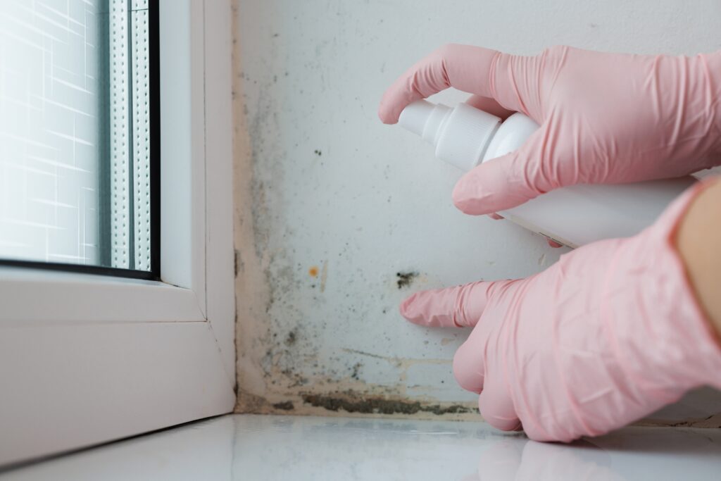A person wearing pink gloves points at mould spots near a window while spraying cleaning solution—highlighting the importance of home cleaning in tackling mould growth on white walls.